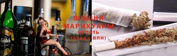 гашик Гусь-Хрустальный