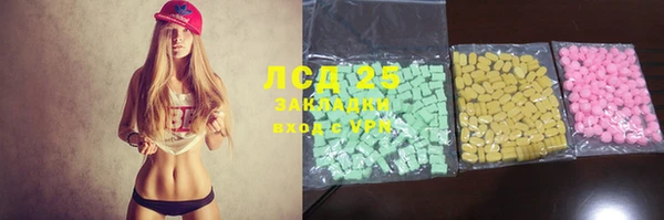гашик Гусь-Хрустальный