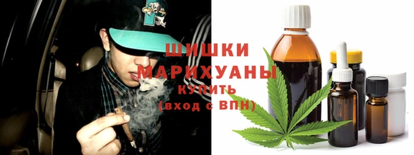 гашик Гусь-Хрустальный