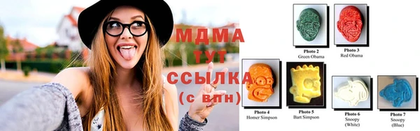 гашик Гусь-Хрустальный