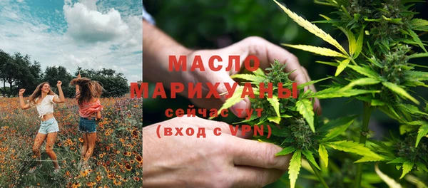 гашик Гусь-Хрустальный