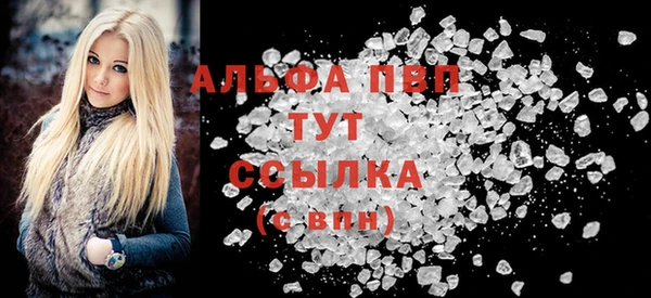 гашик Гусь-Хрустальный