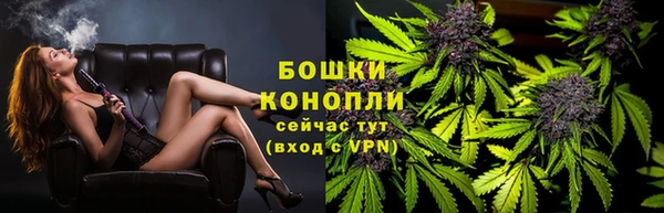 гашик Гусь-Хрустальный